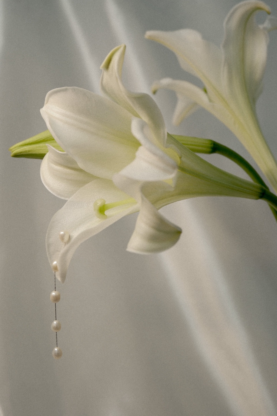Drop Pearl Earring