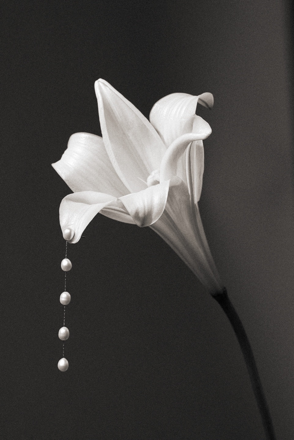 Drop Pearl Earring